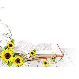 手绘书本花朵元素