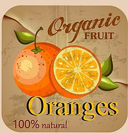 水果橙子复古海报素材