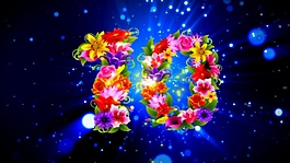 鲜花倒计时视频