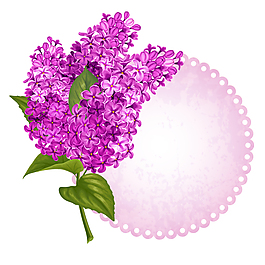 紫色丁香花矢量素材