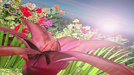 欧式婚礼花海视频背景