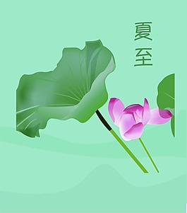 矢量素材夏至荷花荷叶