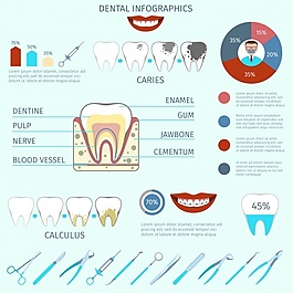 牙科圖表模板