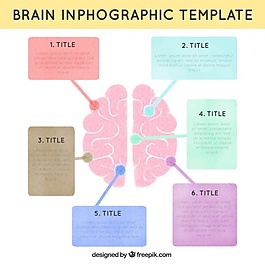 人类大脑的信息图表模板在柔和的颜色