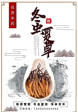 中国风中药文化冬虫夏草促销海报设计