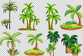 热带棕榈树椰子树免抠png透明图层素材