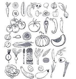 蔬菜卡通黑白线条矢量涂鸦装饰元素合集