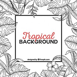手绘热带背景