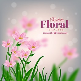 背景模糊的粉红色花朵