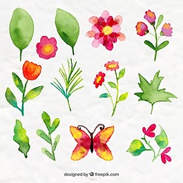 水彩画与蝴蝶美丽的花和叶子