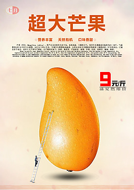 芒果促销海报