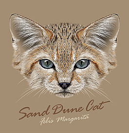 可爱猫咪头像插画