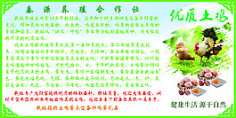 土鸡养殖展板