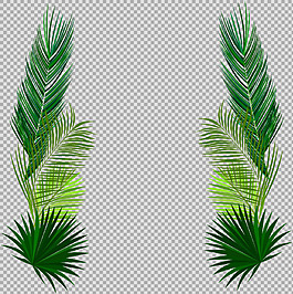 手绘叶子花边免抠png透明图层素材