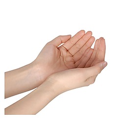 双手手势元素