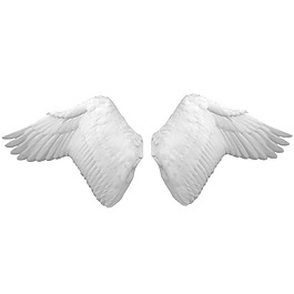 抽象白色翅膀元素