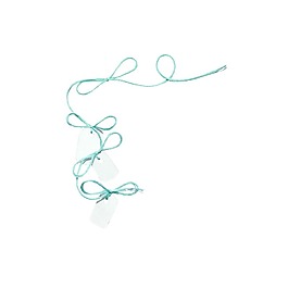 清新简约线条元素