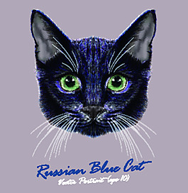 蓝色猫咪宠物猫头像品种矢量