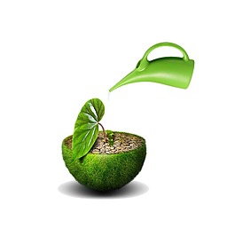 实物清新绿叶浇水元素