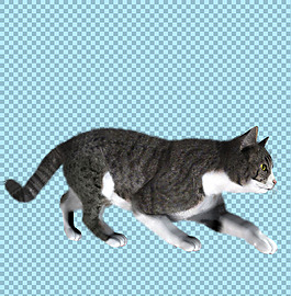 正在走路的猫图片免抠png透明图层素材