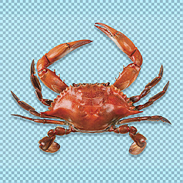 大钳子螃蟹图片免抠png透明图层素材