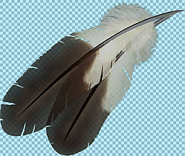 两片灰白羽毛图片免抠png透明图层素材