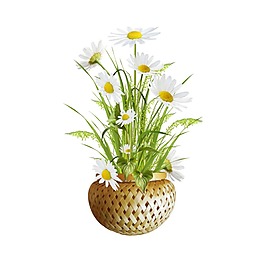 一盆小花png元素