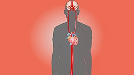人物医疗视频教育