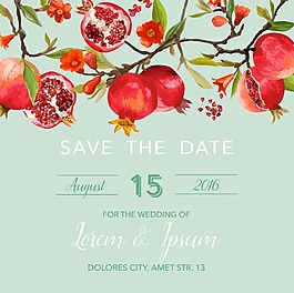 手绘红石榴插画