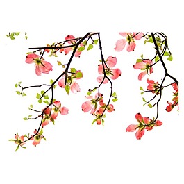 一枝花png元素