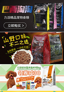 宠物手机端日用品海报合集