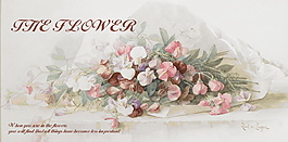 手绘鲜花插画素材