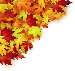 秋天红叶背景图片 秋天红叶背景素材 秋天红叶背景模板免费下载 六图网