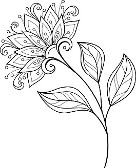 黑白简约花朵插画