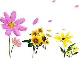 手绘彩色花朵元素