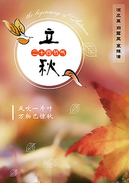 立秋文艺唯美枫叶创意简约商业海报设计模板