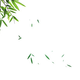 漂浮的竹叶png免扣元素