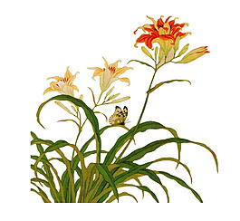 复古蝶恋花png免扣元素