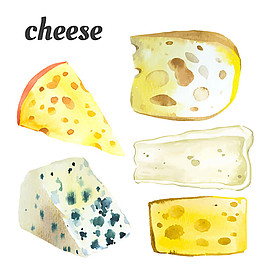 各种斑点奶酪图片