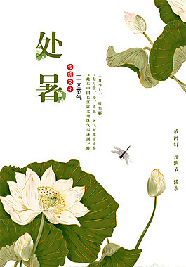 荷花处暑节气图