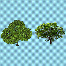 两棵参天大树图片_两棵参天大树素材_两棵参天大树模板免费下载-六