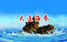 大连海参海洋背景