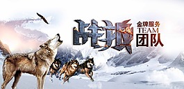 战狼团队海报