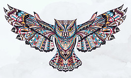 精美动物猫头鹰插画