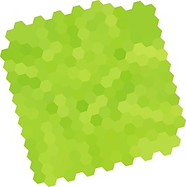 蜜蜂巢穴背景图