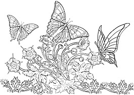 黑白线条蝶恋花插画