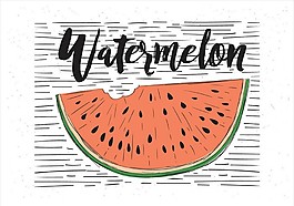 夏天西瓜矢量素材
