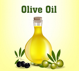 橄榄油矢量素材