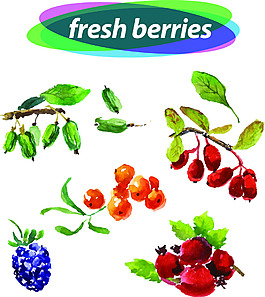 常见水果手绘水彩矢量