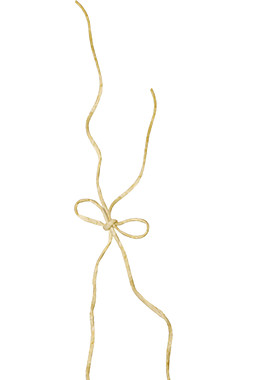 金色蝴蝶结情侣杯PNG元素